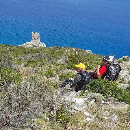 Вілла Maison Dans Le Cap Corse Tomino Екстер'єр фото