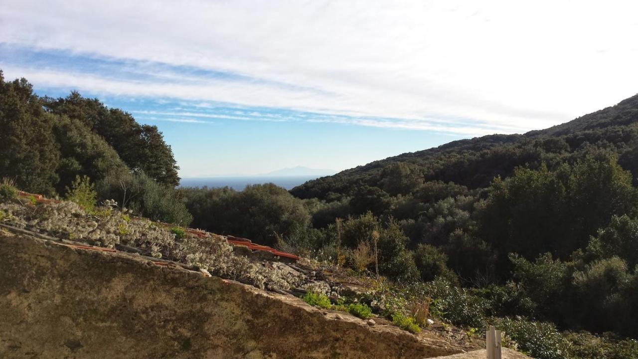 Вілла Maison Dans Le Cap Corse Tomino Екстер'єр фото