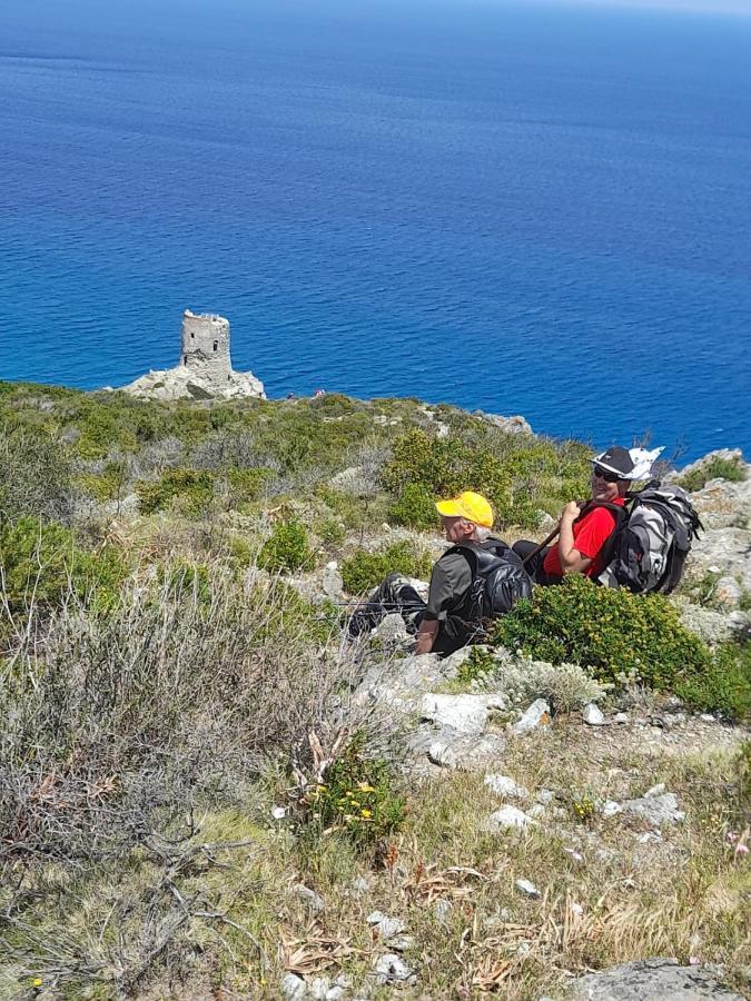 Вілла Maison Dans Le Cap Corse Tomino Екстер'єр фото